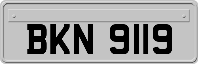 BKN9119