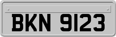 BKN9123