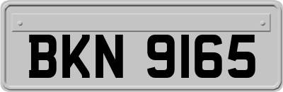 BKN9165