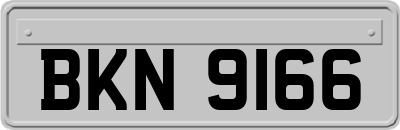 BKN9166