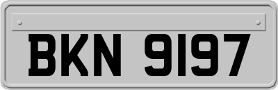 BKN9197