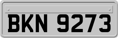 BKN9273