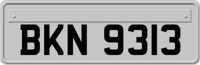 BKN9313