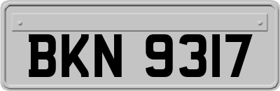 BKN9317