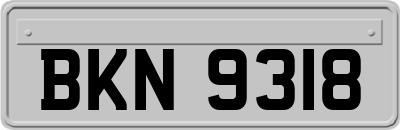 BKN9318