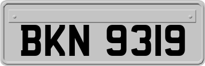 BKN9319