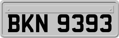 BKN9393