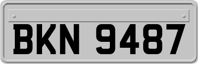 BKN9487