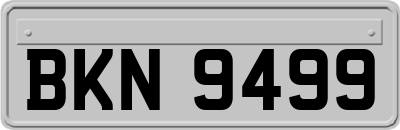 BKN9499