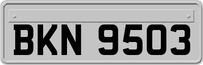 BKN9503