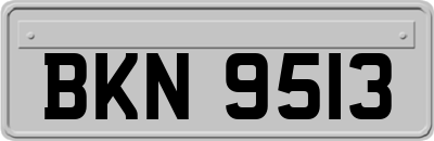 BKN9513