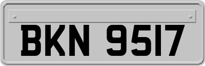 BKN9517