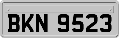 BKN9523