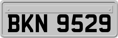 BKN9529