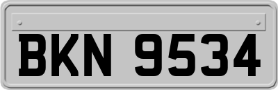 BKN9534