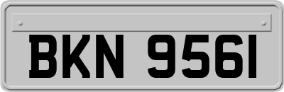 BKN9561