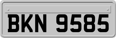 BKN9585
