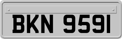BKN9591