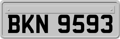 BKN9593