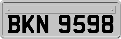 BKN9598