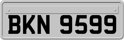 BKN9599