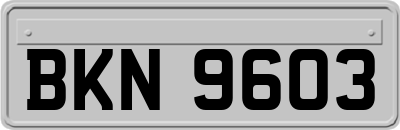 BKN9603