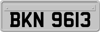 BKN9613