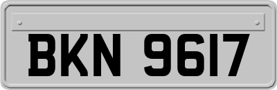 BKN9617