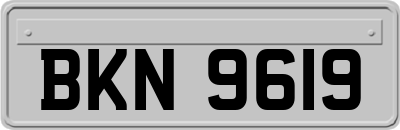 BKN9619