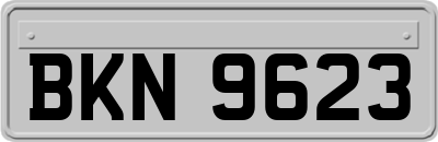 BKN9623