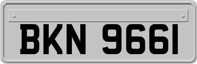 BKN9661