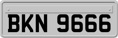 BKN9666