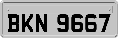 BKN9667