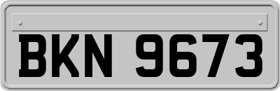 BKN9673