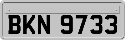 BKN9733