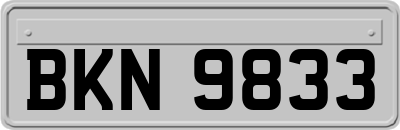 BKN9833