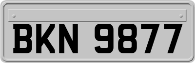 BKN9877