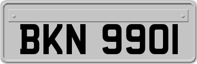 BKN9901