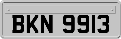 BKN9913
