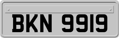 BKN9919
