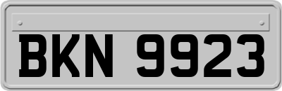 BKN9923