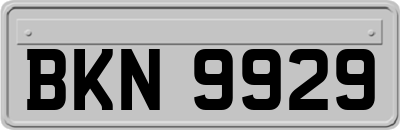 BKN9929