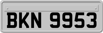 BKN9953