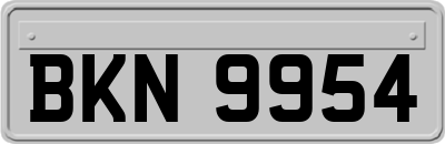 BKN9954