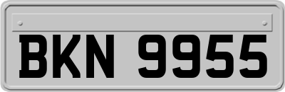 BKN9955