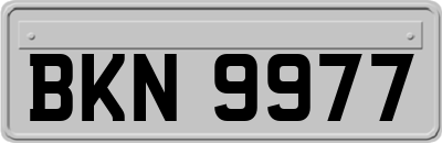 BKN9977