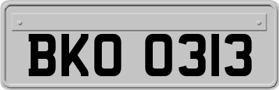 BKO0313