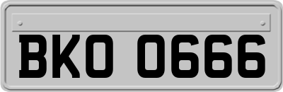 BKO0666