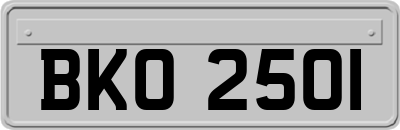 BKO2501