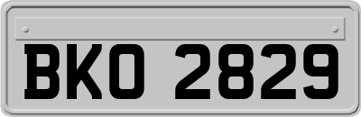 BKO2829